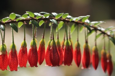 中山东区私人快速借钱网，轻松解决资金难题
