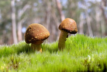 中山东区私人老板放款：轻松融资的秘密通道